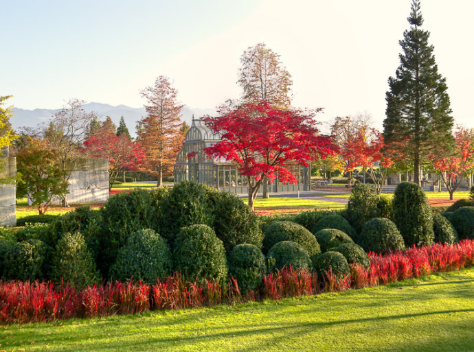 樹的<a src='http://m.hd7708.com' title='景杝園林'>花園設(shè)計(jì)</a>博物館