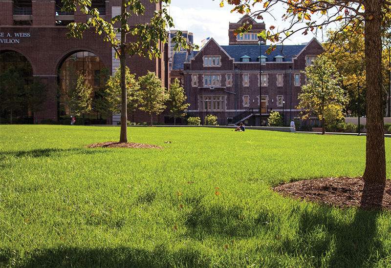 【景觀視界】全球雨水花園經(jīng)典案例
