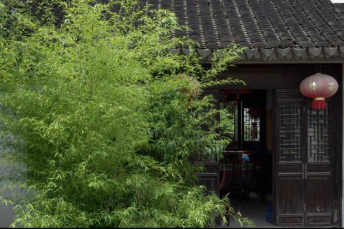 大雅風骨，深刻在中國人文化里的竹情結(jié)