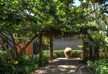 泰國私人住宅花園景觀