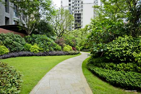 園區(qū)綠化實(shí)景圖