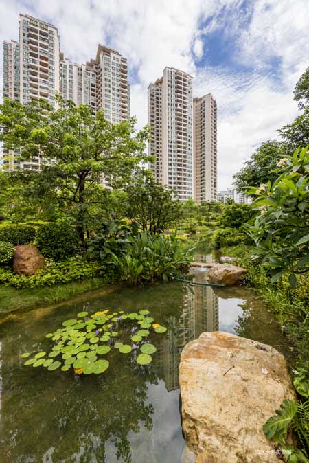 園區(qū)水系實(shí)景圖