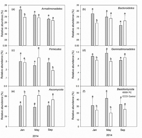 112_副本.jpg 廣州:降水變化對土壤微生物的影響