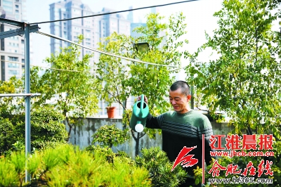 合肥蜀山區(qū)達(dá)人分享屋頂種花小竅門(mén)