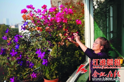 合肥蜀山區(qū)達(dá)人分享屋頂種花小竅門(mén)