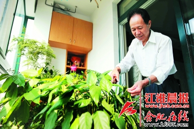 合肥蜀山區(qū)達(dá)人分享屋頂種花小竅門(mén)