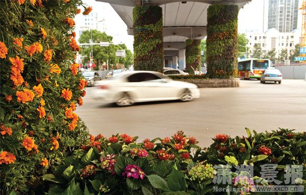 湖南：長沙雨花區(qū)嘗試立體綠化 緩解熱島效應(yīng)