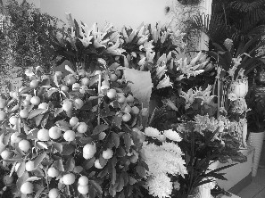 鮮花價(jià)格紛紛上漲。