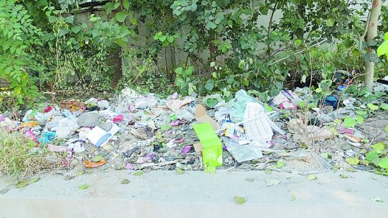 1383160257_0socLD.jpg 石家莊:塔南路旁綠化帶又臟又亂