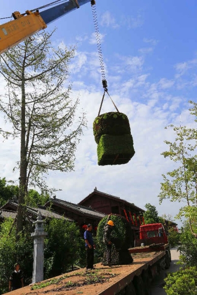 四川:廣元千佛崖花卉園藝展 為女兒節(jié)增添亮麗風景