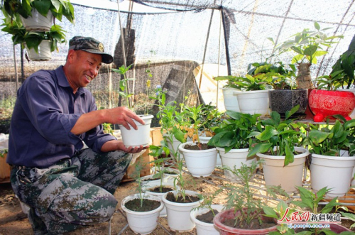 QQ截圖20130829110616.jpg 新疆阿合奇縣大棚花卉圓了花農(nóng)致富夢(mèng)