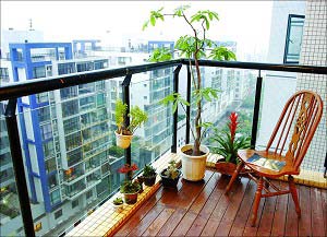 用好小氣候，在陽臺上養(yǎng)好花 (圖)